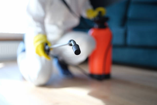 Best Mold Remediation for Healthcare Facilities  in Rohnert Park, CA